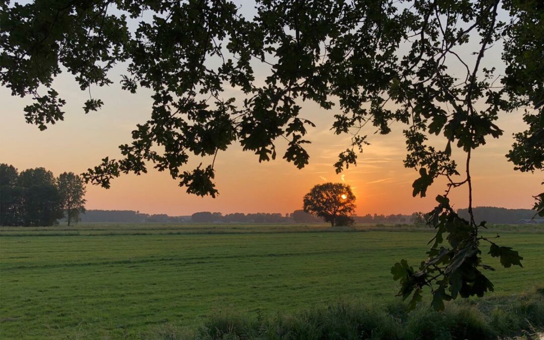 Beesd – Landgoed Mariënwaerdt bekijken met je drone