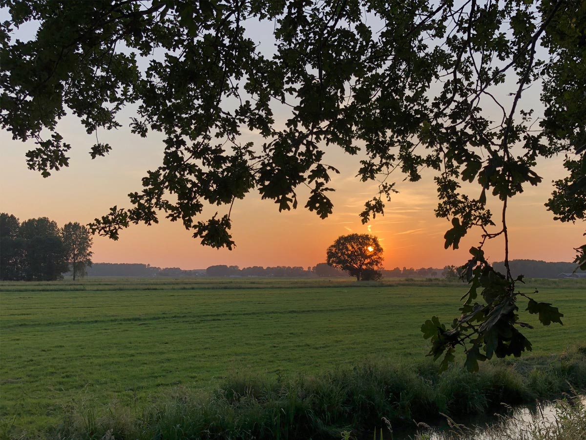 met-de-drone-boven-de-Mariënwaerdt-in-Beesd---de-mooiste-drone-plaatsen